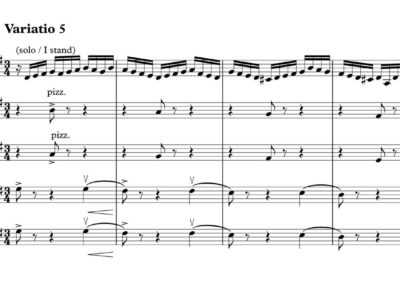 Bach, Goldberg variations, transcription for chamber string orchestra